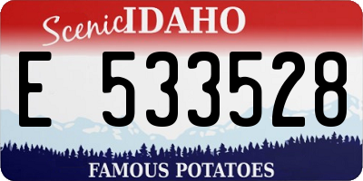 ID license plate E533528