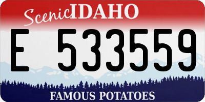 ID license plate E533559