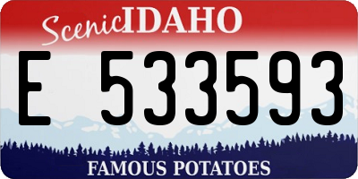 ID license plate E533593