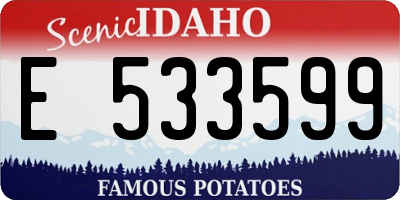 ID license plate E533599