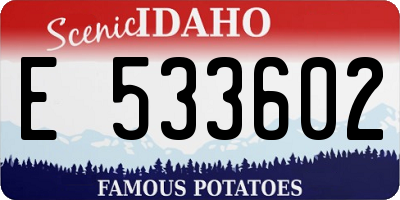 ID license plate E533602