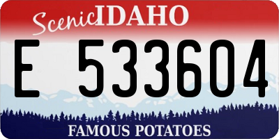ID license plate E533604