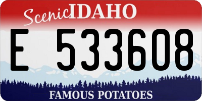 ID license plate E533608