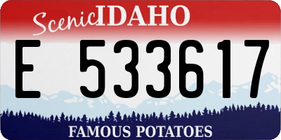 ID license plate E533617