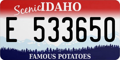 ID license plate E533650