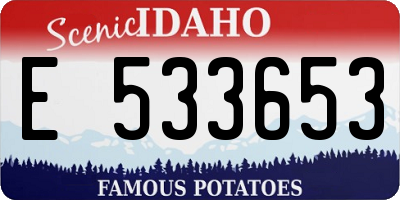 ID license plate E533653