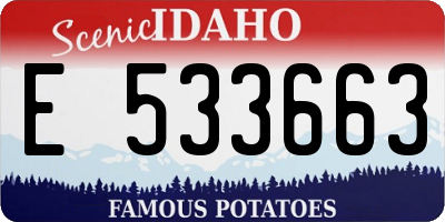 ID license plate E533663