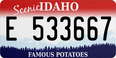 ID license plate E533667