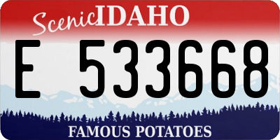 ID license plate E533668