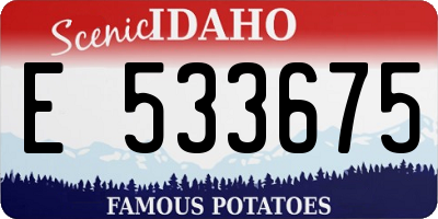 ID license plate E533675
