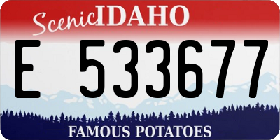 ID license plate E533677