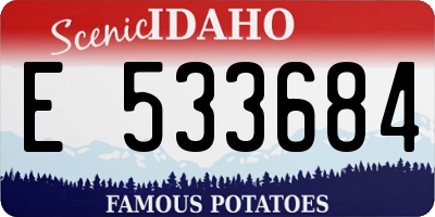 ID license plate E533684