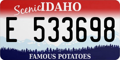 ID license plate E533698