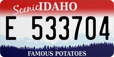 ID license plate E533704
