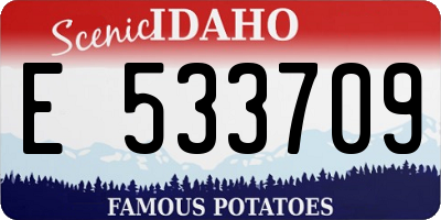 ID license plate E533709