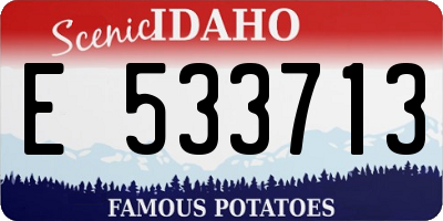 ID license plate E533713