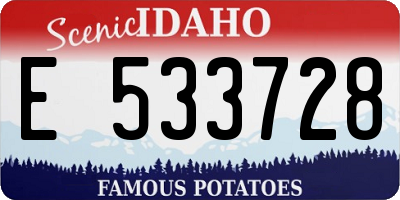 ID license plate E533728