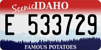 ID license plate E533729