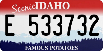 ID license plate E533732
