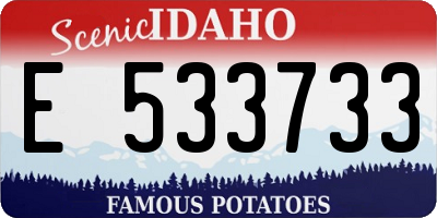 ID license plate E533733
