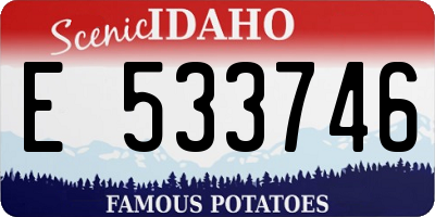 ID license plate E533746