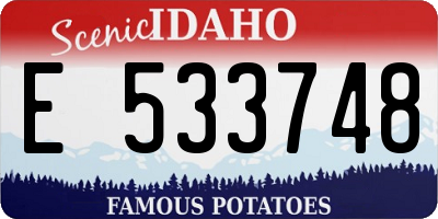 ID license plate E533748