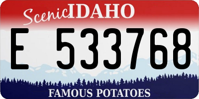 ID license plate E533768