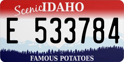 ID license plate E533784