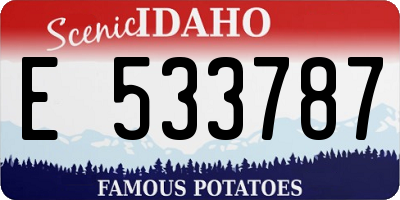 ID license plate E533787