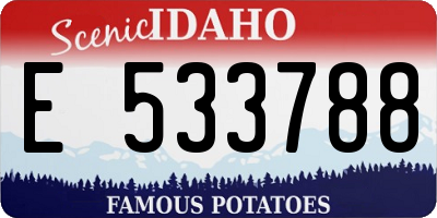 ID license plate E533788
