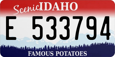 ID license plate E533794