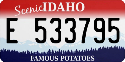 ID license plate E533795