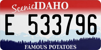 ID license plate E533796