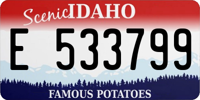 ID license plate E533799
