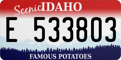 ID license plate E533803