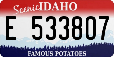 ID license plate E533807