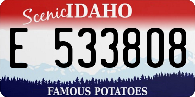 ID license plate E533808