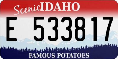 ID license plate E533817