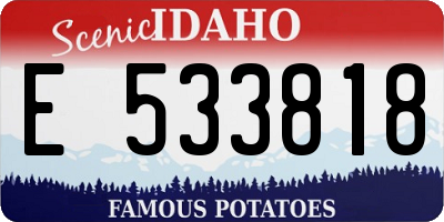 ID license plate E533818