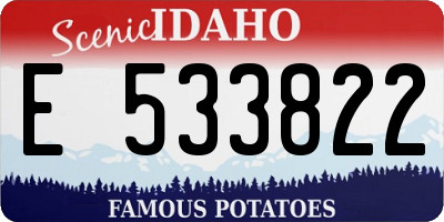 ID license plate E533822