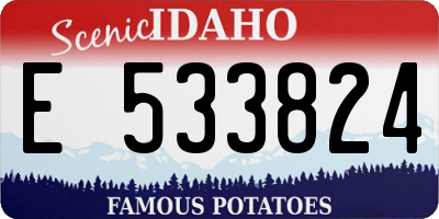 ID license plate E533824