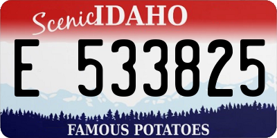 ID license plate E533825