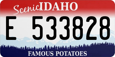 ID license plate E533828