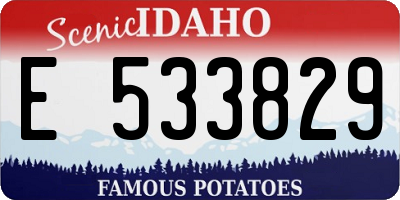 ID license plate E533829