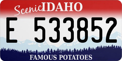 ID license plate E533852
