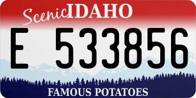 ID license plate E533856