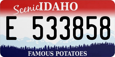 ID license plate E533858