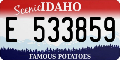 ID license plate E533859