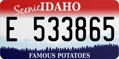 ID license plate E533865