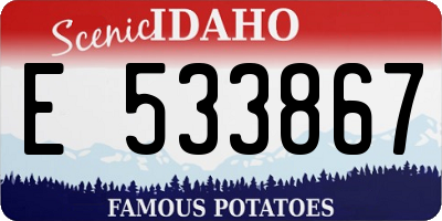 ID license plate E533867